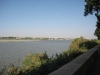 D001.jpg