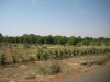 D005.jpg