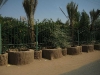 D007.jpg