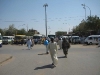 D013.jpg