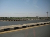 D014.jpg