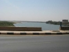 D017.jpg