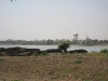 D041.jpg